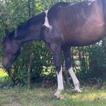 ecole naitre et sens equi sophrologie 2